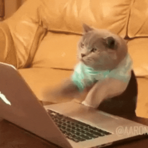 Gato aprendendo a usar o InDesign e se irritando